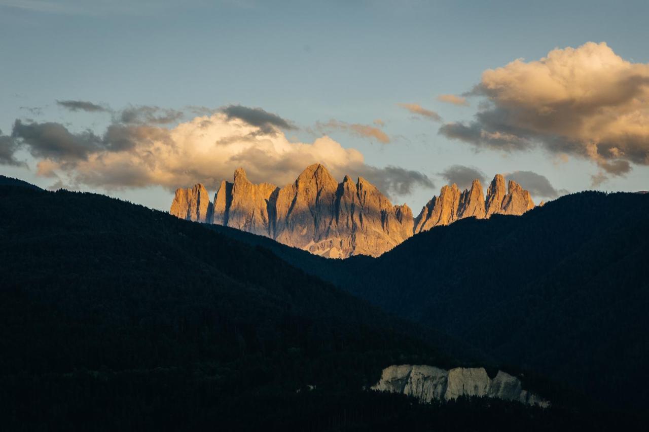 Maso Fallmerayer - Fallmerayerhof เบรสซาโนเน ภายนอก รูปภาพ